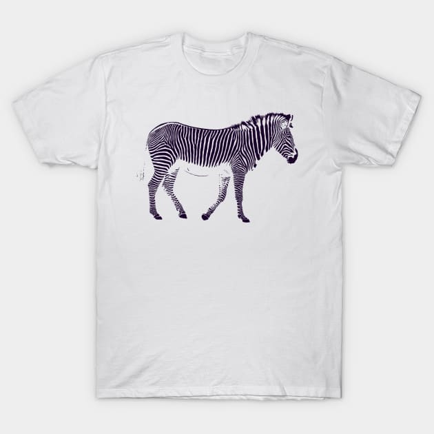 Zebra Stripes T-Shirt by Kristal Stittle